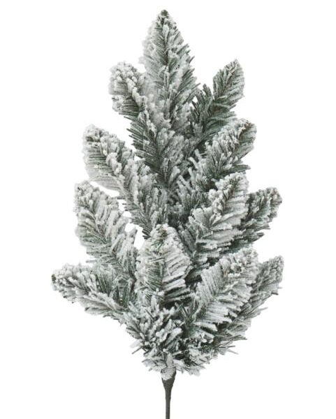 170d49e5 54ad 4117 a603 64b1703bff30