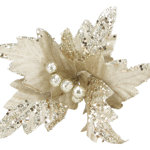 2b4ce5efdd544b699723d2ab7da455b5 1