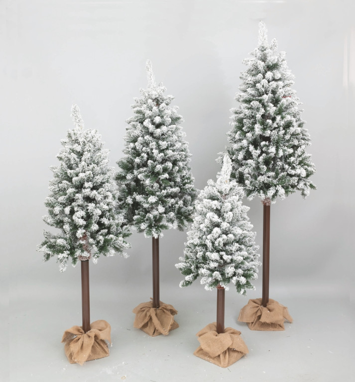 65804d592c7b0.jpg 65804d592c7b0.jpg