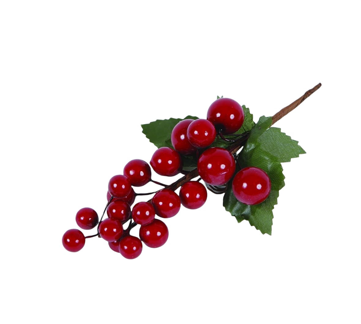 WhatsApp Image 2021 10 22 at 10.01.16 1.jpeg WhatsApp Image 2021 10 22 at 10.01.16 1.jpeg