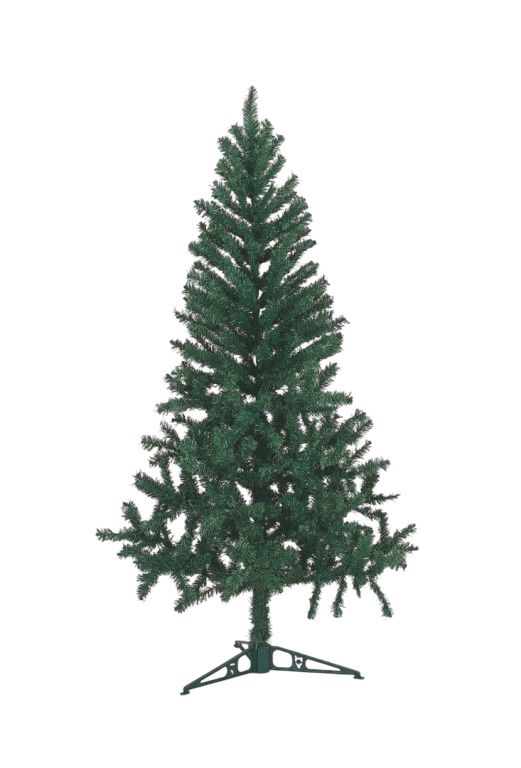 WhatsApp Image 2025 08 11 at 12.36.42 WhatsApp Image 2025 08 11 at 12.36.42