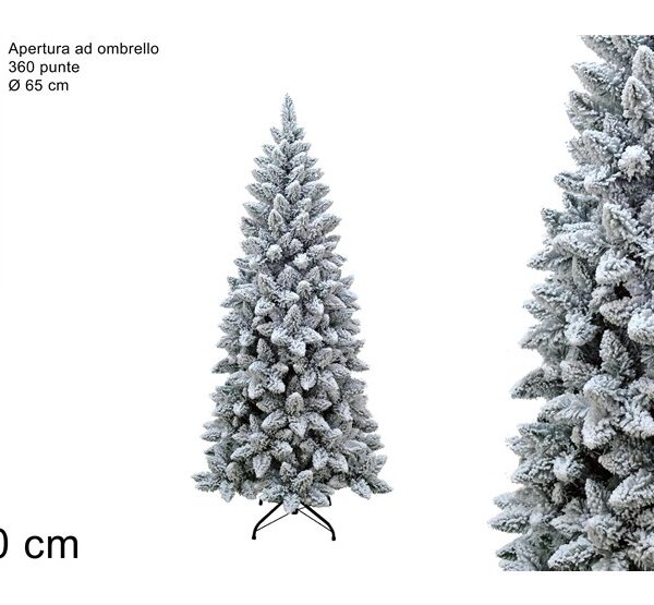 XNA19014301 8053482025728