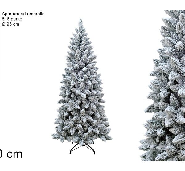 XNA19014321 8053482025766