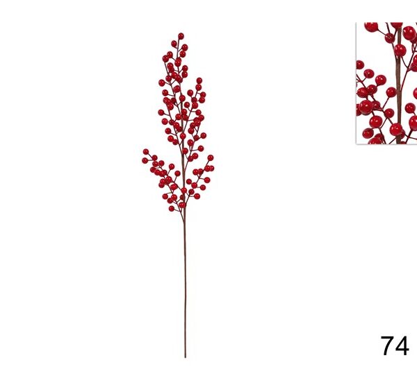 XNA19018371 8033113996719.jpg