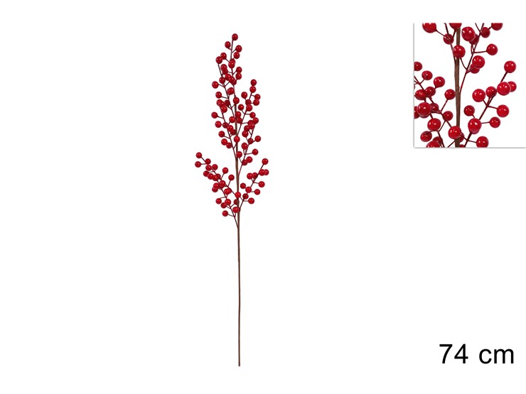 XNA19018371 8033113996719.jpg XNA19018371 8033113996719.jpg