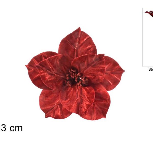 XNA21002831 8053482105260.jpg