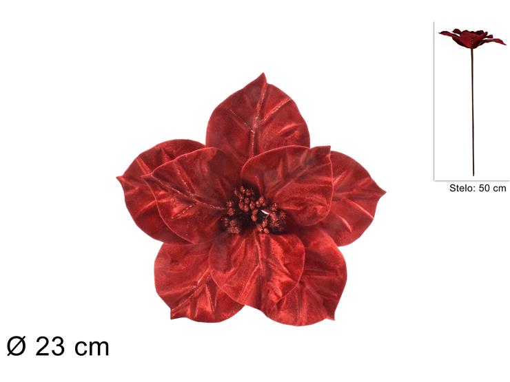 XNA21002831 8053482105260.jpg XNA21002831 8053482105260.jpg