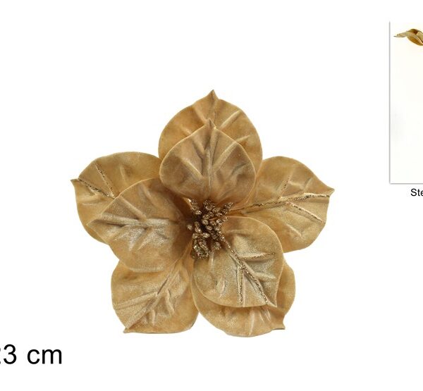 XNA21002881 8053482105376