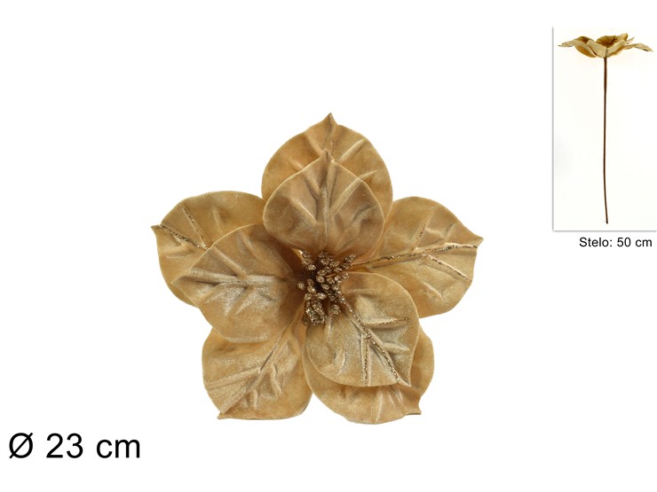 XNA21002881 8053482105376 XNA21002881 8053482105376