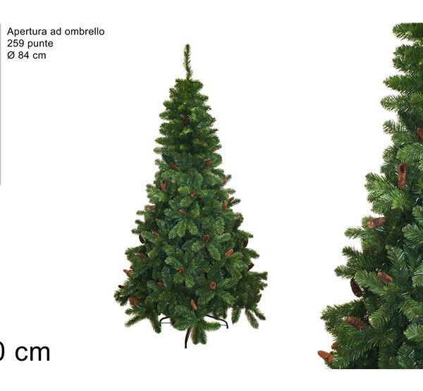 XNA21011511 8053482098319