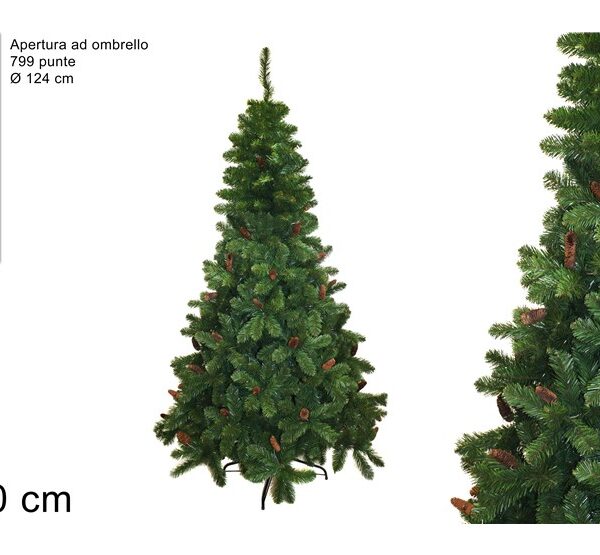 XNA21011531 8053482098357