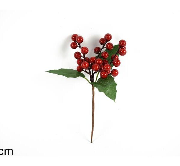 XNA21040901 8053482132426