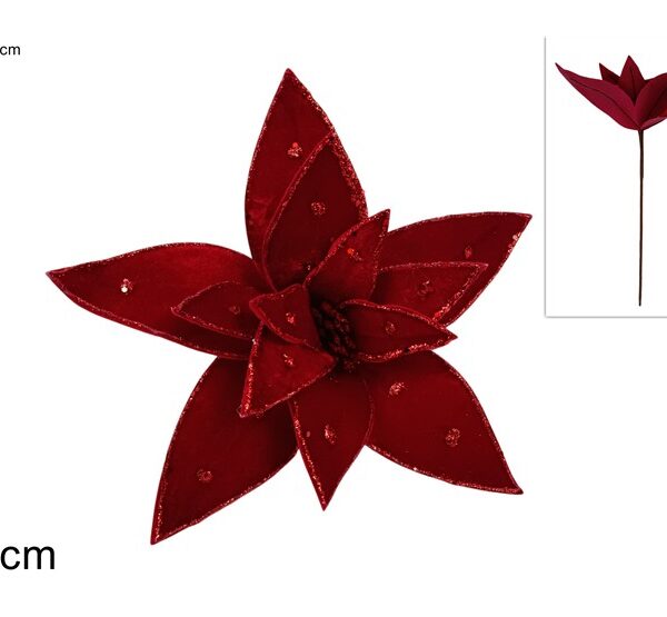 XNA24044931 8053482367521