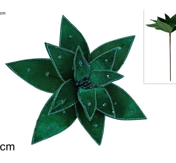 XNA24044981 8053482367576