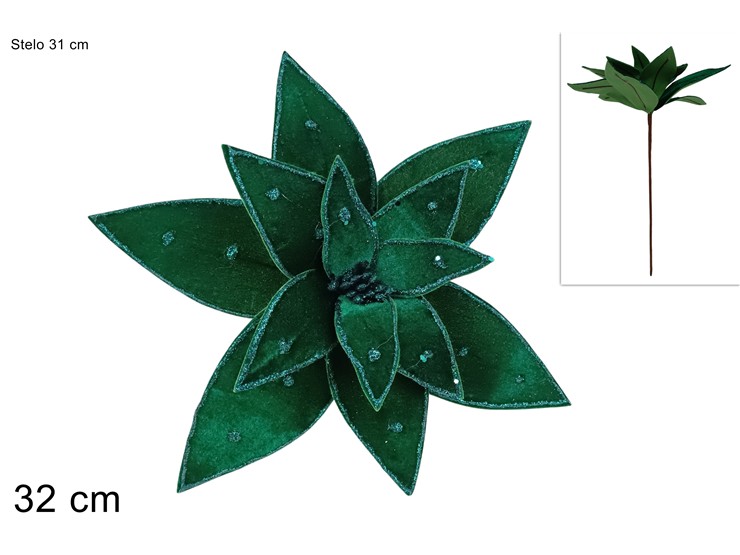 XNA24044981 8053482367576 XNA24044981 8053482367576