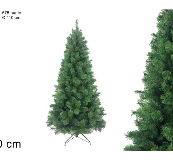 XNA24070401 8053482395203